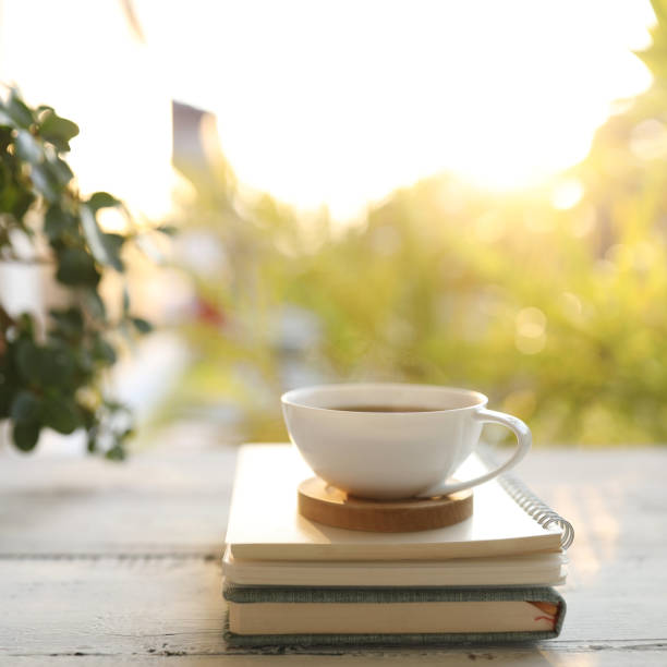 istock Coffee cup and notebook and plant pot on wooden table under sunlight 1455769375