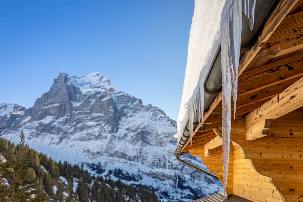 Photo was taken in the Swiss Alps in the town of Grindelwald. The mountain in the background is the Wetterhorn