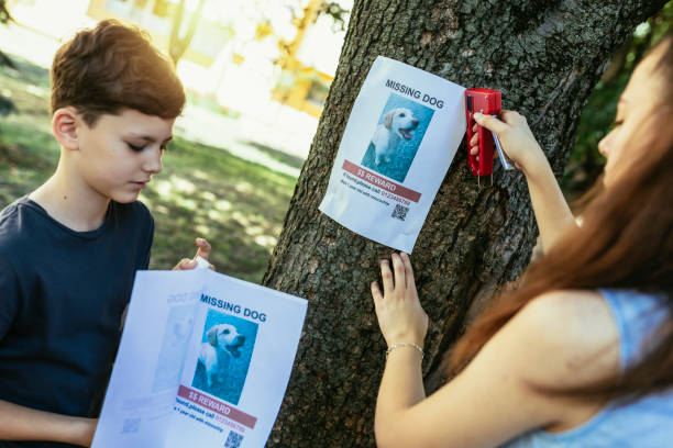 istock Children are looking for a missing dog, putting up posters. 1455770583
