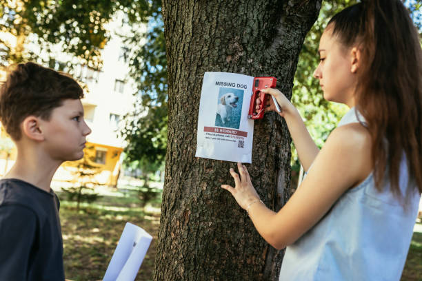 istock Children are looking for a missing dog, putting up posters. 1455770591