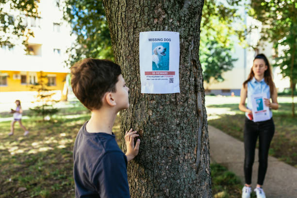 istock Children are looking for a missing dog, putting up posters. 1455770608