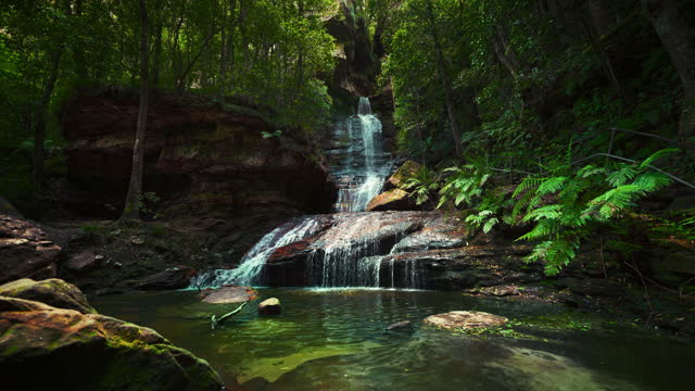 Waterfall with fresh water in the romantic and idyllic tropical jungle rainforest. Blue Mountains National Park in Australia near Sydney. Cinemagraph seamless video loop of cascade in natural green forest landscape, with fern and palm trees, cinematic 4K.