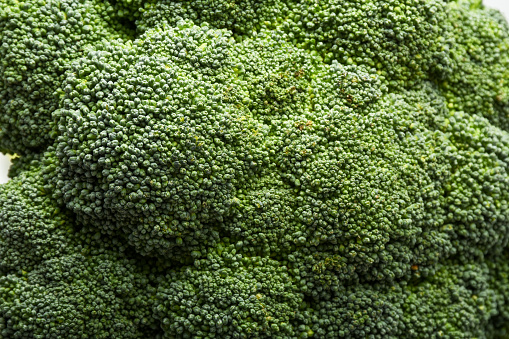 Close-up fresh organic broccoli