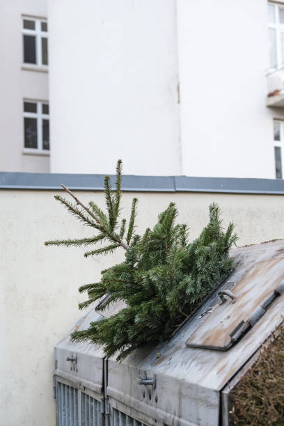 christmas tree dumped in garbage can