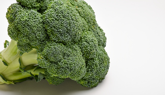 Fresh broccoli on the white background with copy space