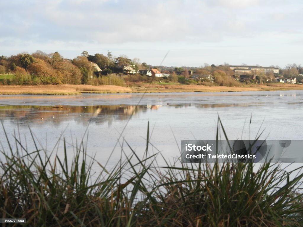 View of trees and houses on the other side of the Exe estuary from Bowling Green Marsh nature reserve in Devon Photograph taken as the tide was beginning to come in and with sunlight on the reed bed and trees Bush Stock Photo