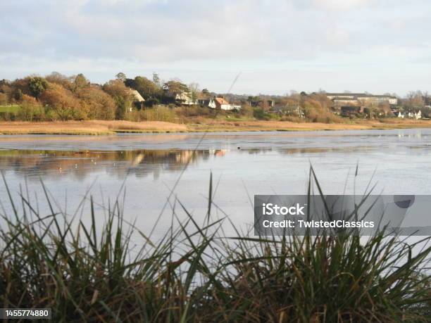 View Of Trees And Houses On The Other Side Of The Exe Estuary From Bowling Green Marsh Nature Reserve In Devon Stock Photo - Download Image Now