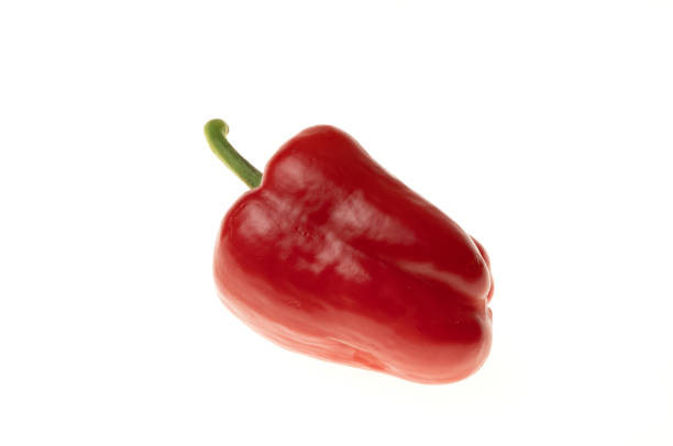 red paprika isolated on white background