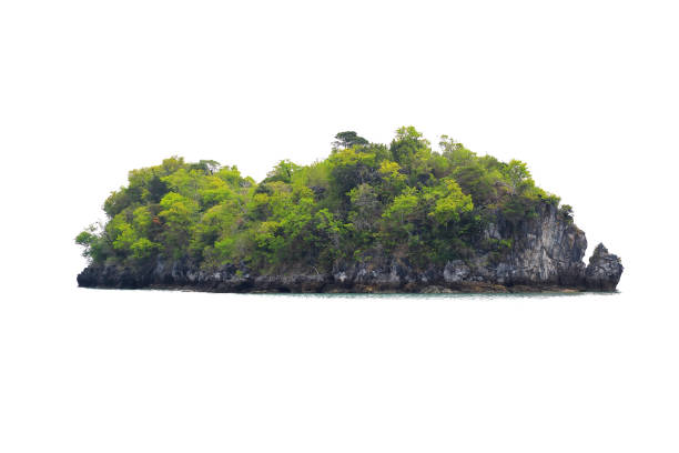 island isolated on white background