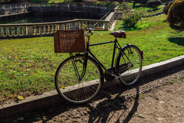 A vintage bicycle with a front wicker basket parked in a city garden with grass around an artificial pond during the fall season. stock photo