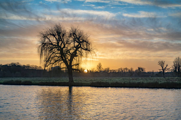 istock January beautiful sunrise at Bushy Park ponds 1455777536