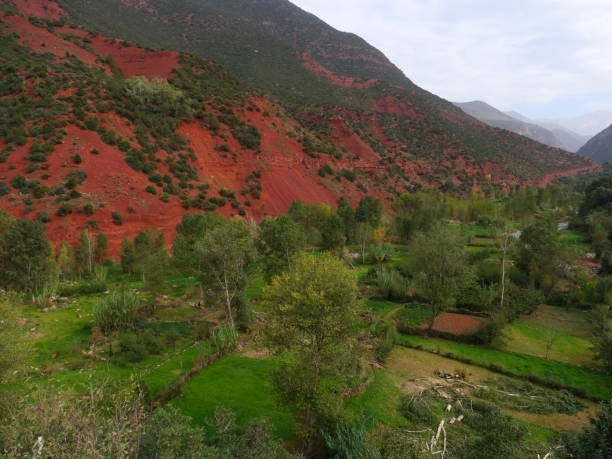 istock Landscape, Ourika Valley, Morocco 1455777581