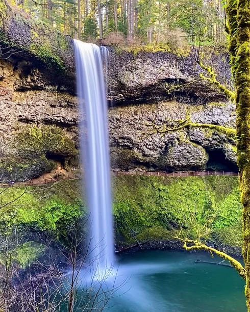 istock Trail of Ten Falls 1455779215