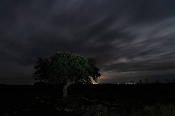 Night landscape in ancient Roman villa of Los Terminos in Monroy. Extremadura. Spain.