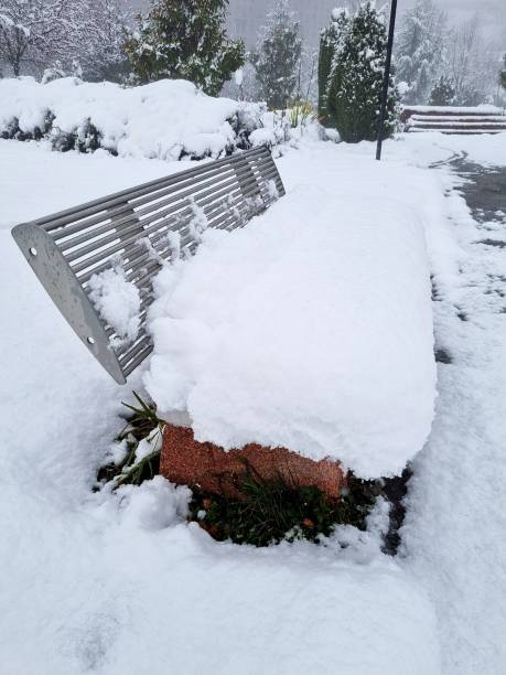 istock Park bench with snow cover 1455782093