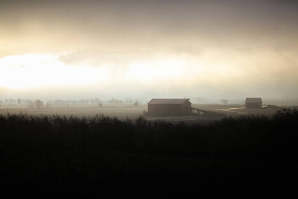 istock Foggy autumn sunset 1455782405