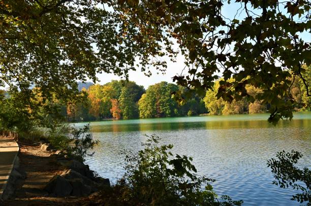 istock Landscapes of Lyon 1455784018