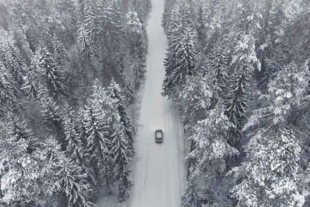 istock Driving in a beautiful winter snowy forest. Travel theme 1455786191