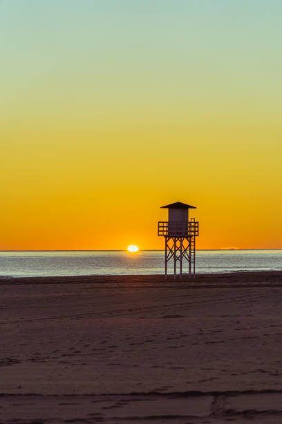istock wooden  lifeguard post beach 1455788034