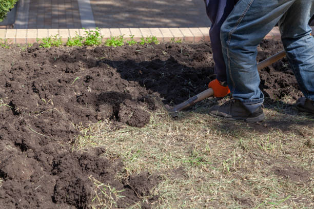 istock Man digs plot of land on spring day 1455789981
