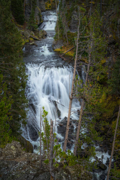 istock Water Landscapes of Yellowstone 1455790413