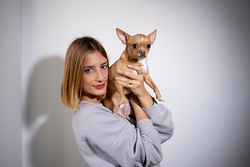 Young  smiling caucasian beautiful woman posing and looking in camera with her cute chihuahua pet.
