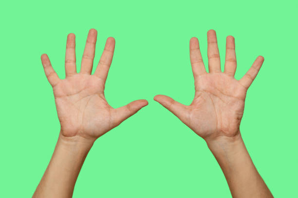 istock Hands showing number 10 isolated on green screen background 1455796028