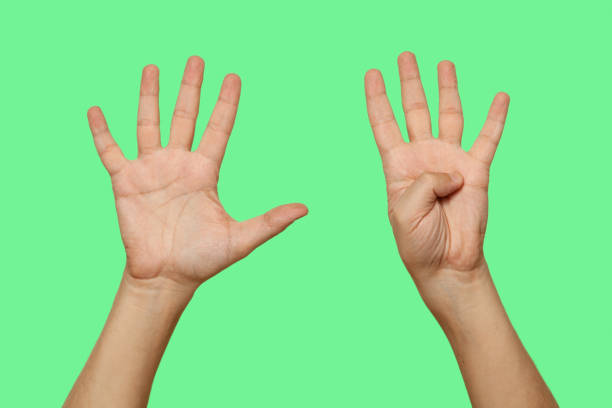 istock Hands showing number 9 isolated on green screen background 1455796044