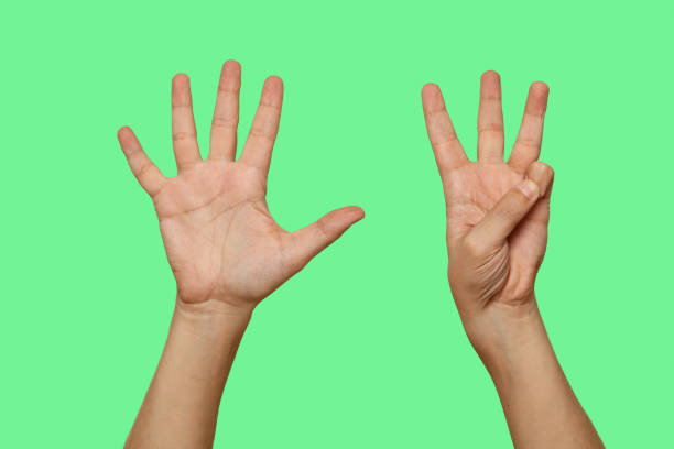 istock Hands showing number 8 isolated on green screen background 1455796068