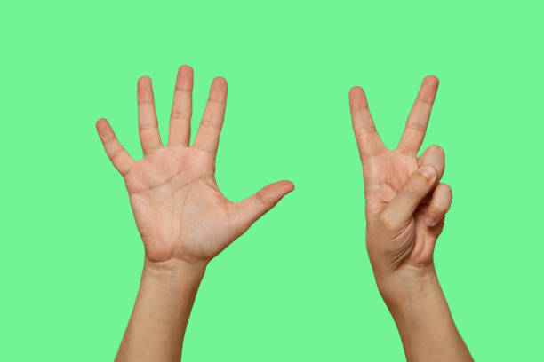 Hands showing number 7 isolated on green screen background stock photo