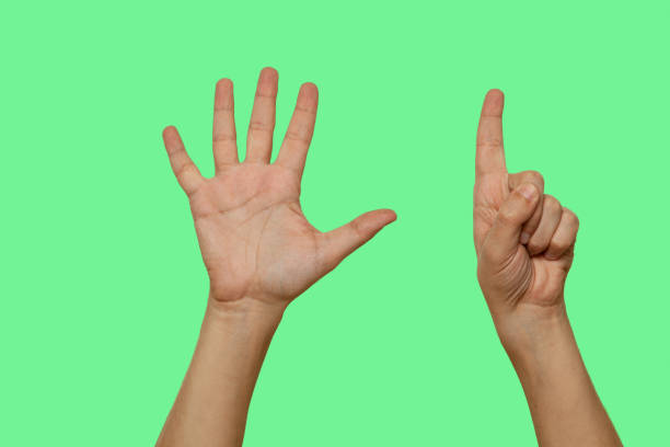 istock Hands showing number 6 isolated on green screen background 1455796121