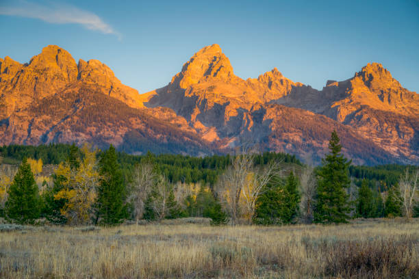 istock Grand Tetons National Park in the Fall 1455801534