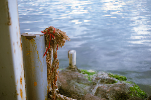 View of a worn rope at shore.