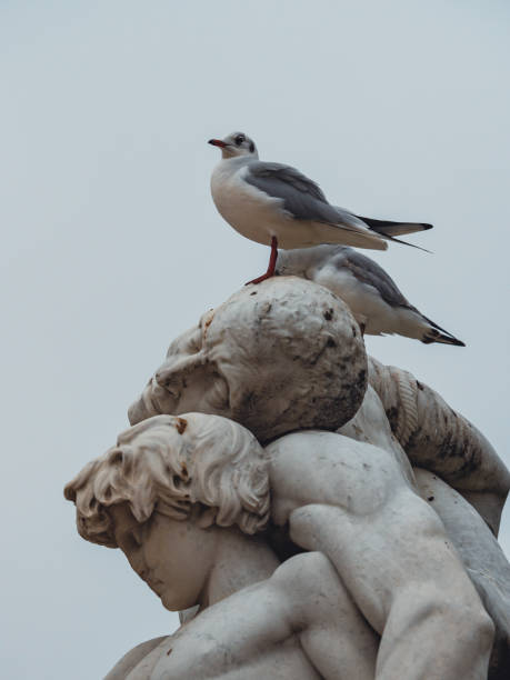 istock Low angle shot of two gulls standing on a statue 1455804683