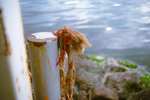 View of a worn rope at shore.
