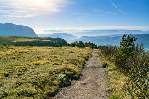 Photo taken in the Dolomites, South Tyrol, Italy