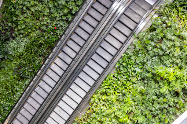 istock Escalator with living wall covered with plants, background with copy space 1455806922