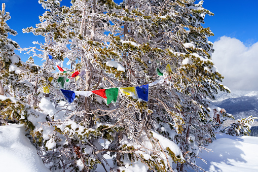 Tibetan Prayer Flags Strung Across Trees - Colorful prayer flags in outdoor setting strung over frosted winter trees at high elevation in mountains.