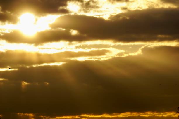 The sun's rays break through the clouds. Clear rays of the sun pass through the clouds. Sunset with the rays of the sun that break through the clouds.