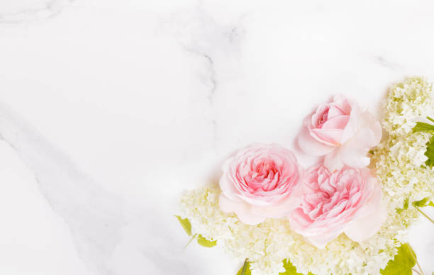 istock Festive flower composition on marble background. Overhead view 1455812285