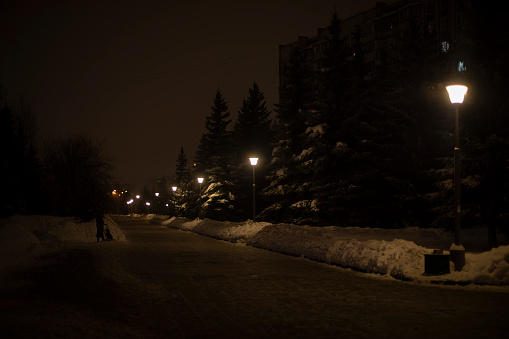 Park at night. Light lamps in city. Winter in city at night.