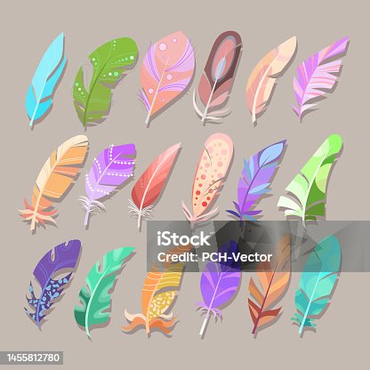 istock Feathers or quills of different colors vector illustrations set 1455812780
