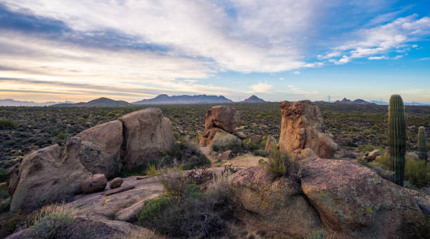 istock Soft sunrise illuminates The Ampitheatre with McDowell Mountains in the distance 1455813923