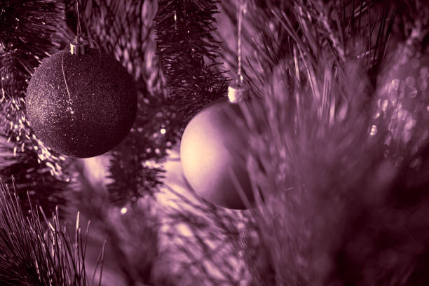 Christmas toy hanging on a Christmas tree branch