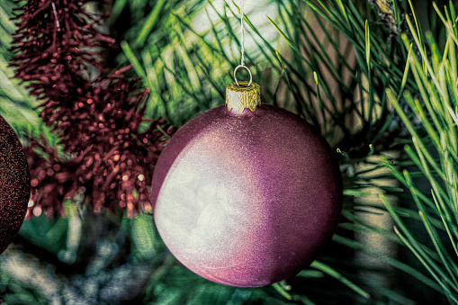 Christmas toy hanging on a Christmas tree branch