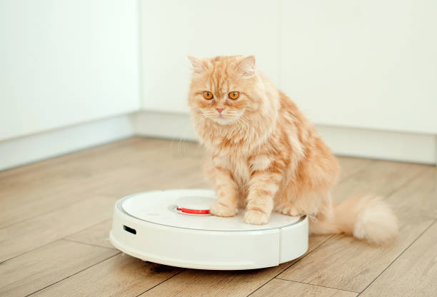 istock robot vacuum cleaner works in the kitchen. cleaning the house 1455816436