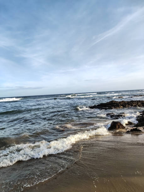 istock Beautiful beach in Salvador, Bahia 1455816630