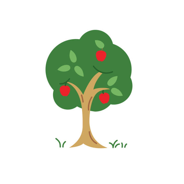 Orchard Apple Tree Agriculture Icon In Flat Colors On A Transparent Background - ilustração de arte vetorial