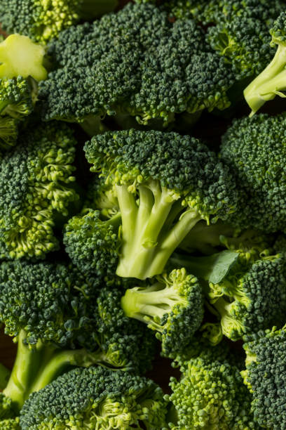 Raw Green Organic Broccoli Florets stock photo