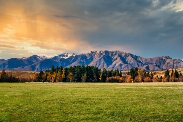 Lush green grazing  fields on the farmland in the valley below the mountains with a light dusting of snow